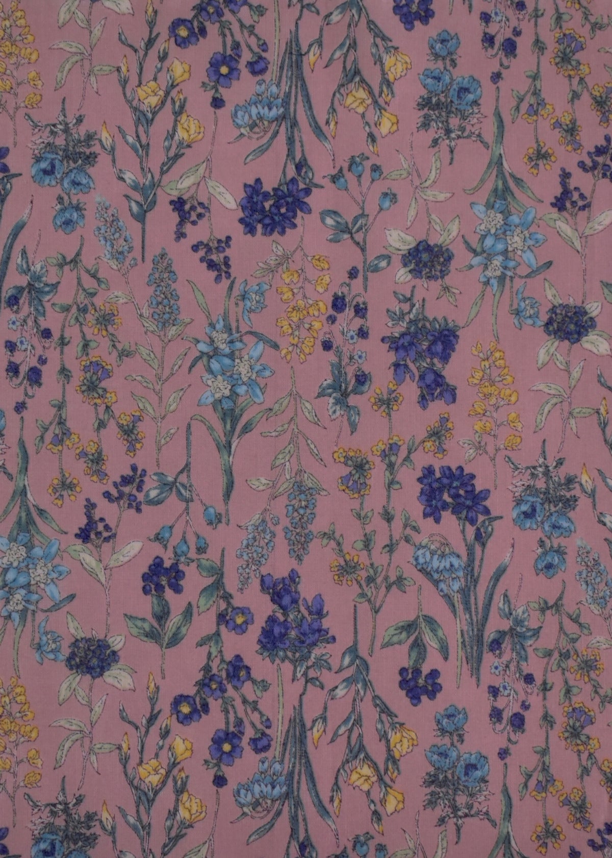 Dusty Bluebell