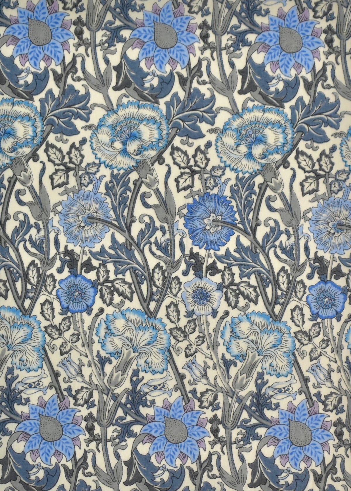 Morris Bluebell