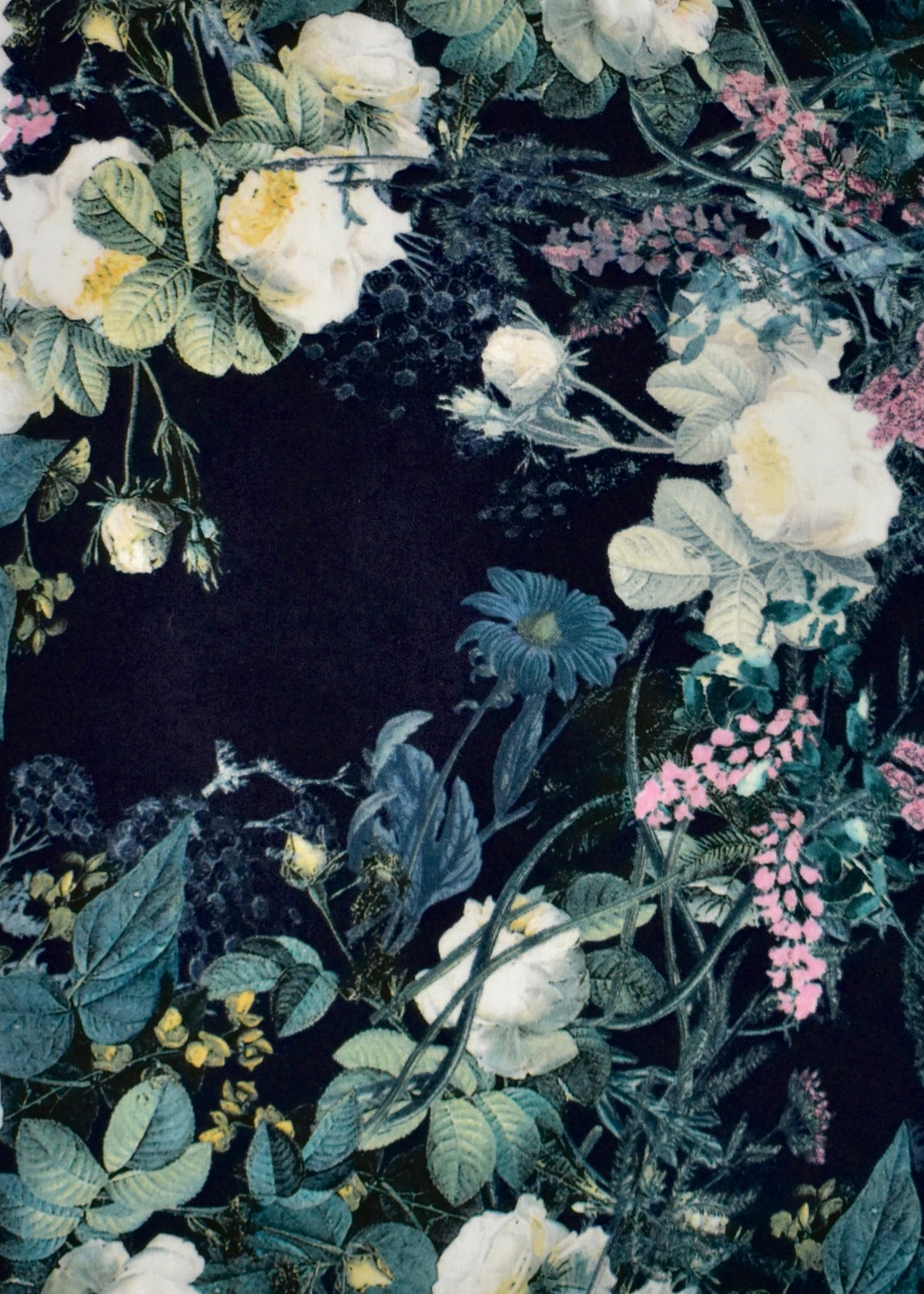 Midnight Botanica