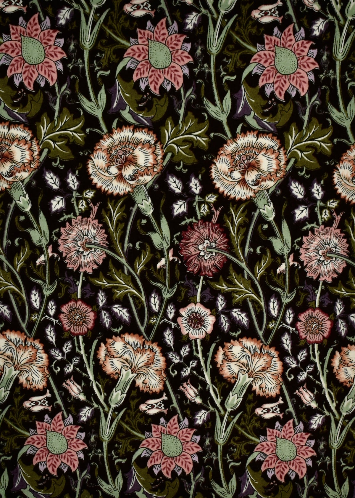 Morris Rosewood