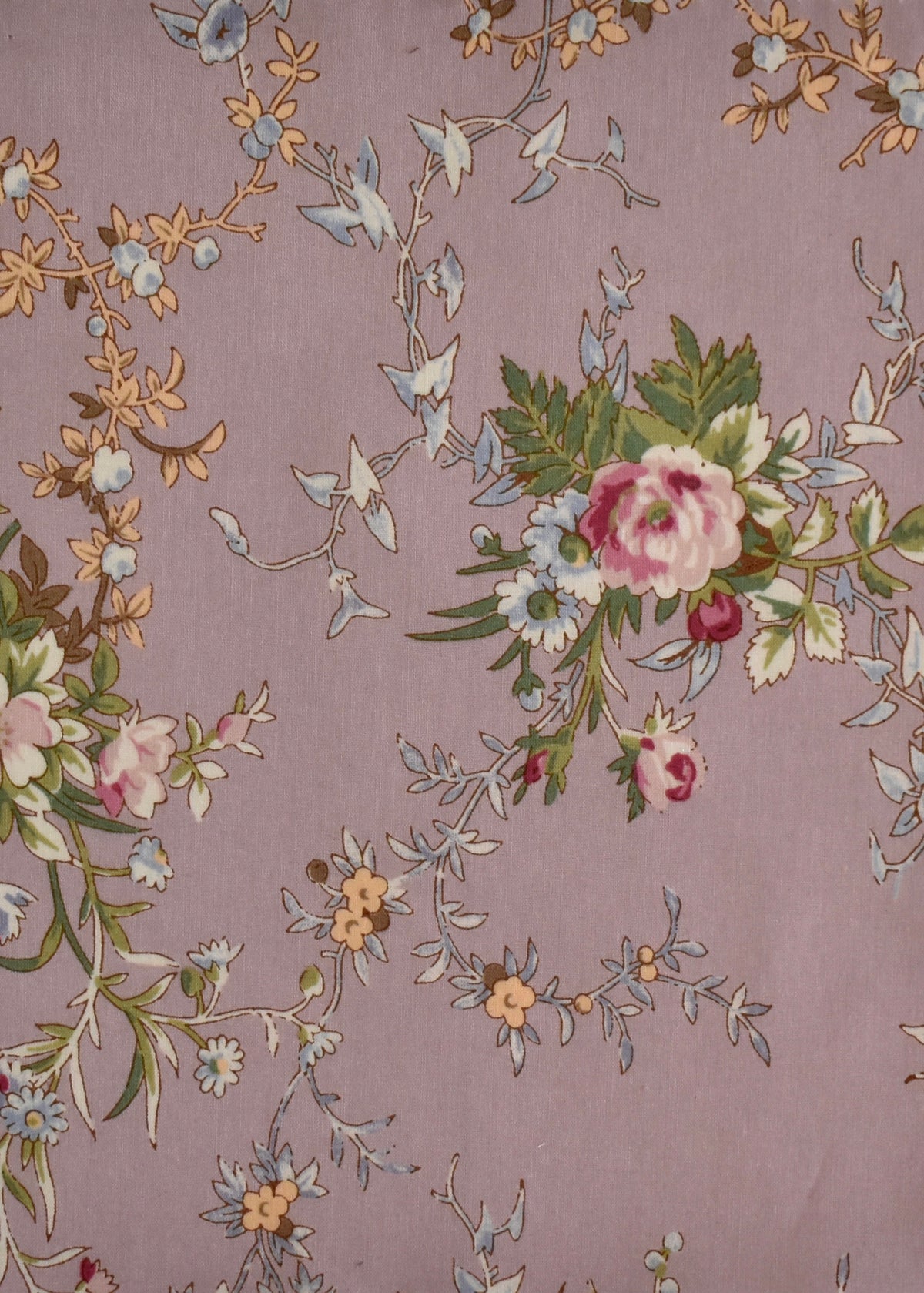 Mauve Blossom